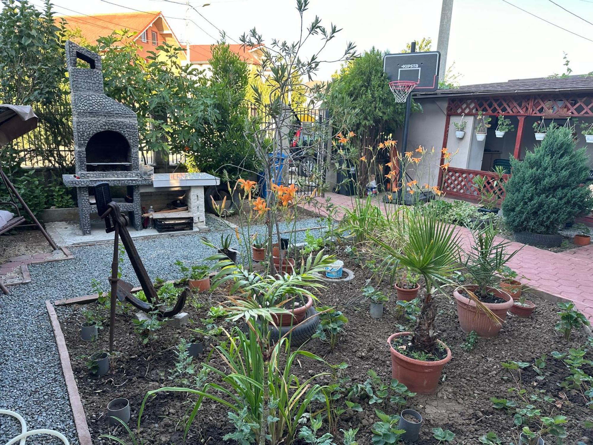 Ferienwohnung Casa Vio Parter Eforie Nord Exterior foto